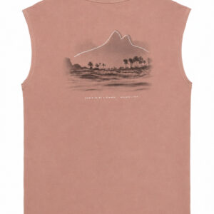 Camiseta terra cota Malwee