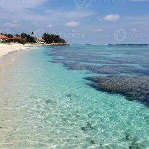 Pacote de Viagem - Recife